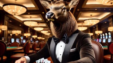 Elk Casino